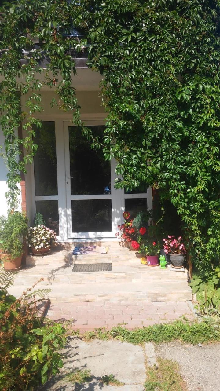 Ferienwohnung U Andrzeja, Parking W Cenie!! Karpacz Exterior foto